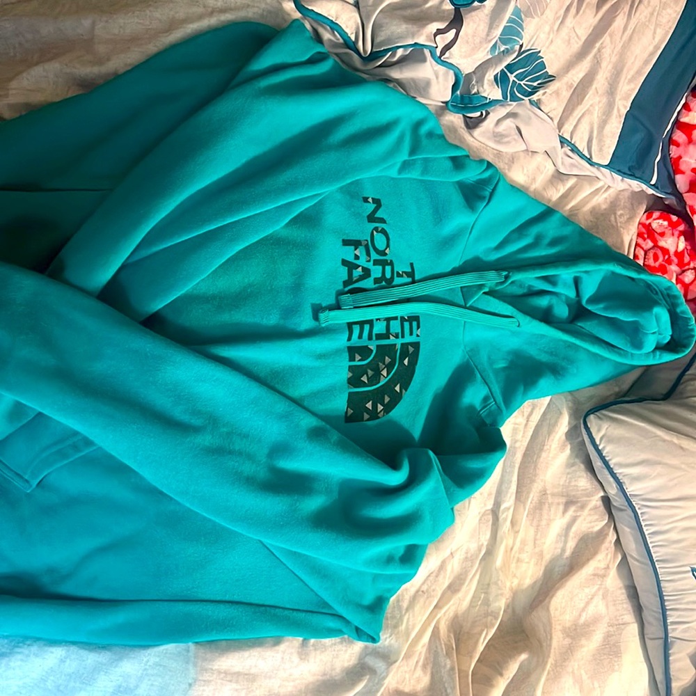 The north face hoodie